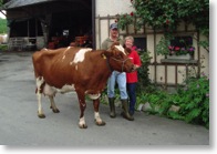 Letztes Foto mit der selbst gezüchteten Kuh Falina, die eine Lebensleistung von über 100000Kg. Milch erreicht hat!